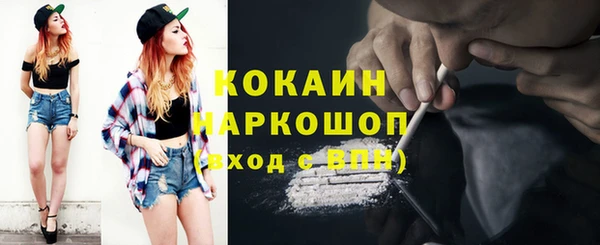 ПСИЛОЦИБИНОВЫЕ ГРИБЫ Абаза