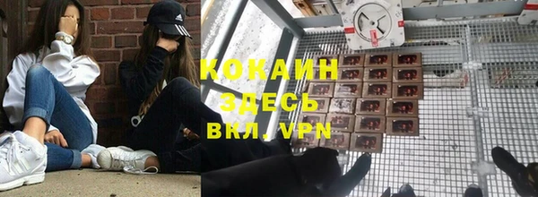 МДПВ Алексин