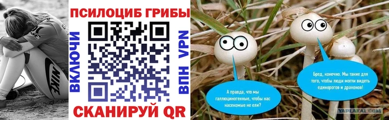 darknet формула  Яхрома  Псилоцибиновые грибы Psilocybe 